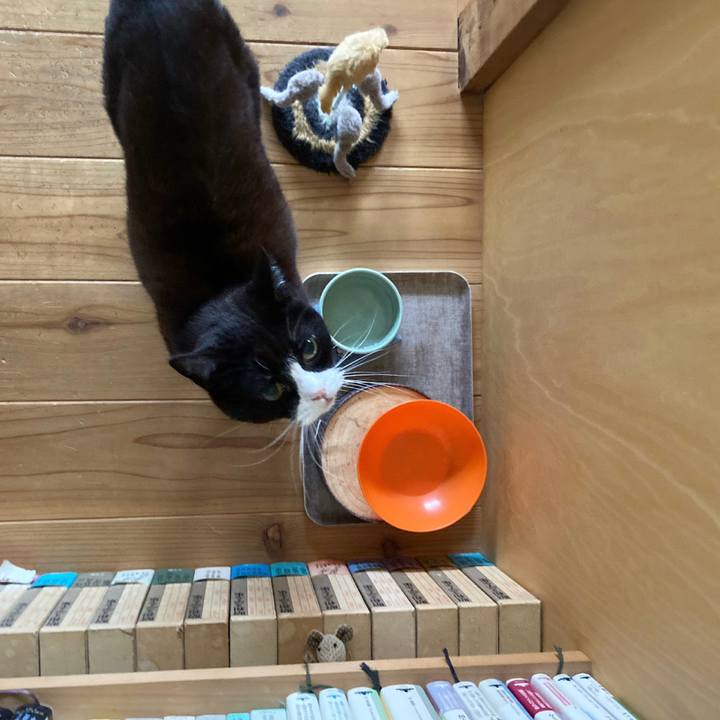 36d27a08 15ba 4d14 8957 36cfa736190c 1618491740689