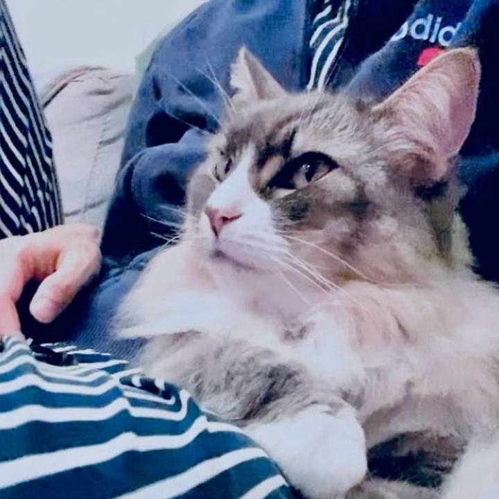 36d29406 0a7f 4806 a11b 422551a33f74 1761060216201