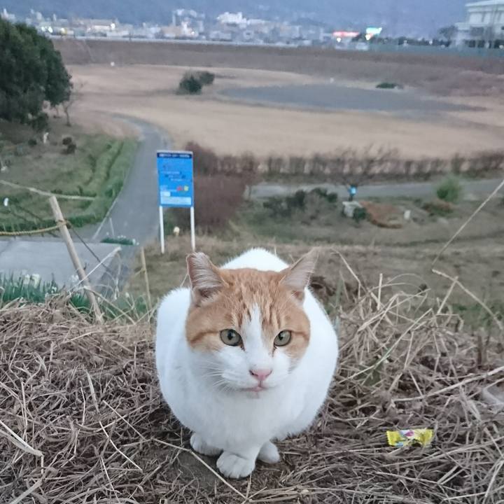 36d2cc6d 74e8 4dd3 97fe 3b4714de8266 1548235582239