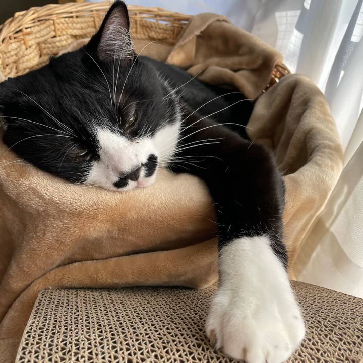 36d300ea c4ef 40f8 b9bc ad89c4d4c889 1669337689021