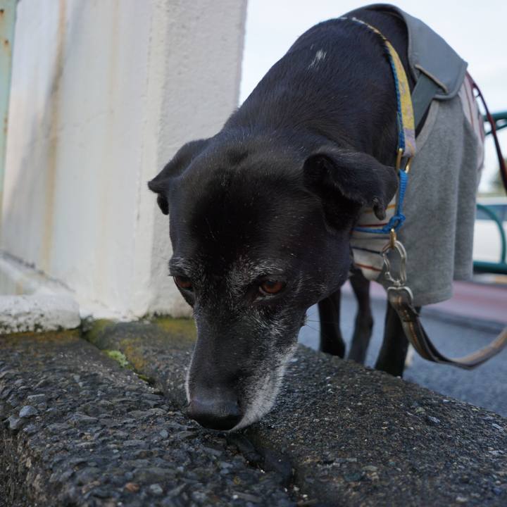 36d31b80 83d0 4fb4 8fbb 20dbaf734862 1766623953423