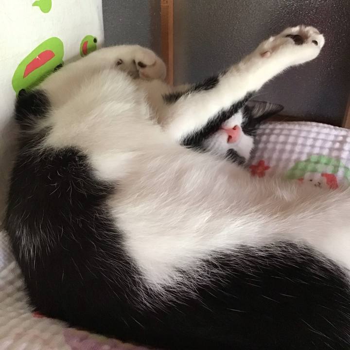 36d362f3 81d1 46c5 b6f2 7c66fe42e2ea 1629536167581