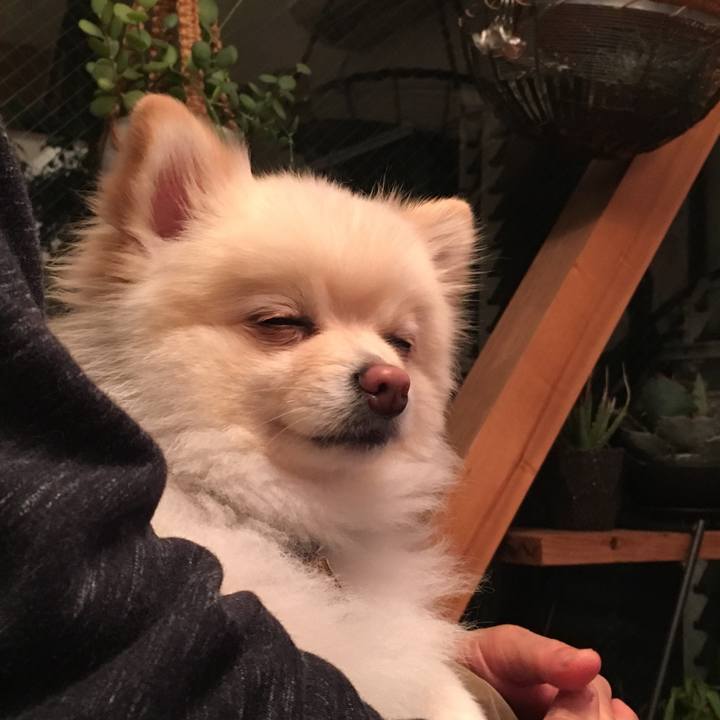 36d387ce ce57 45bb a340 465e424786a2 1553166484307