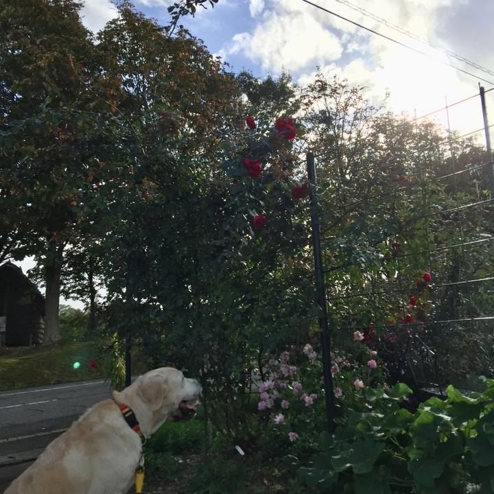 36d3a21f 6ca0 4d8f 96de 1daabdb38421 1538895546843