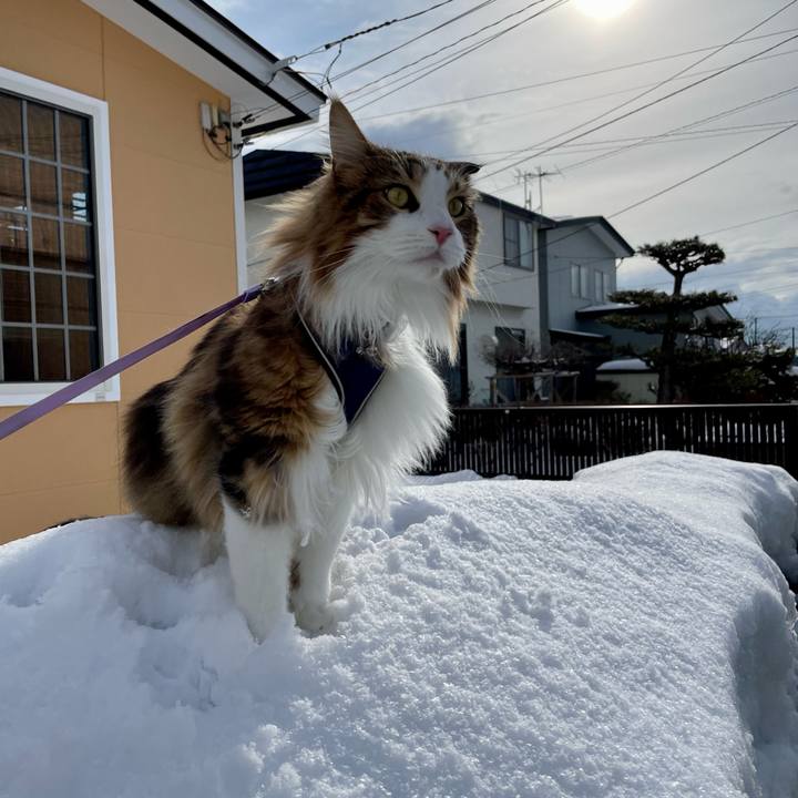 36d3a313 0d11 4cb6 a2e6 cafd3aefe9f0 1677114532098