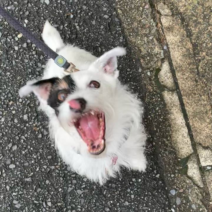 36d3ae67 04d9 4bcb 8aa0 2988d61dd367 1692054197449