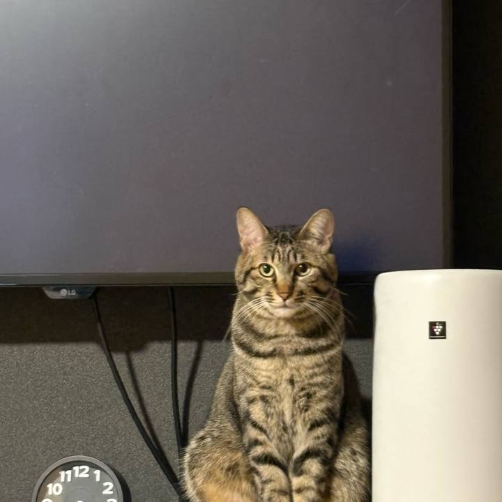 36d3b7bb 0253 4305 b635 08347c9c38fc 1764108816818