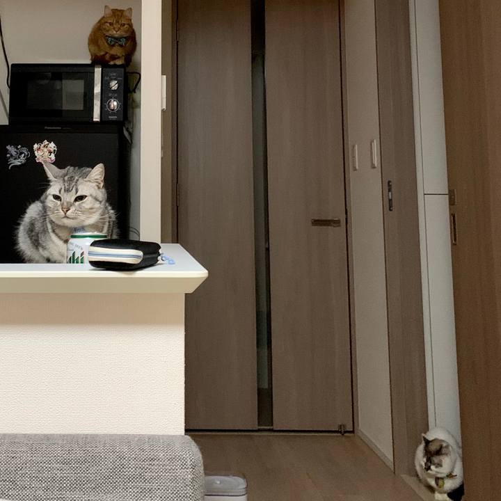 36d3cf98 ca26 4bcc af5e e962ffe806e3 1574064367537