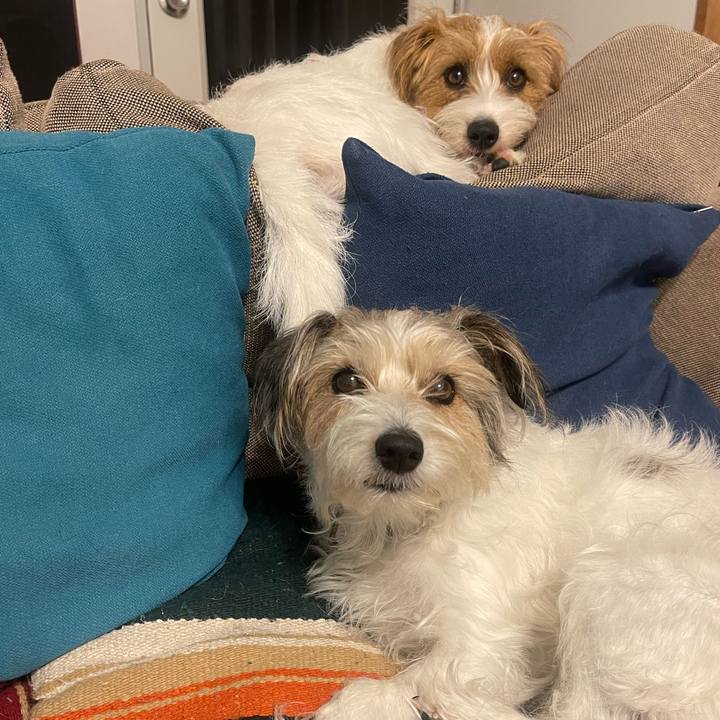 36d3d02f c31c 4c75 86a9 7218435ec5f1 1774961311000