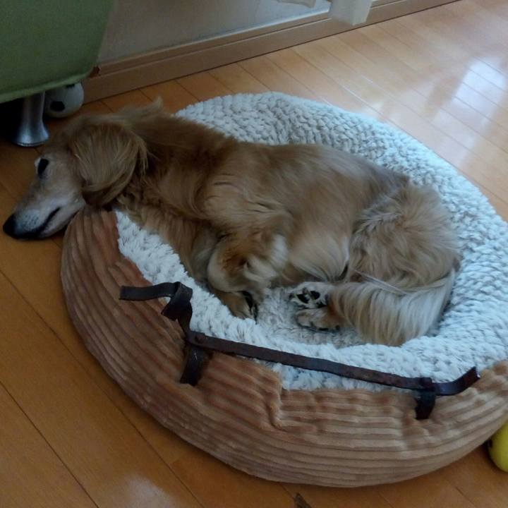 36d3d139 68e3 4d5c adfe 4c34a45a8c17 1555831592584