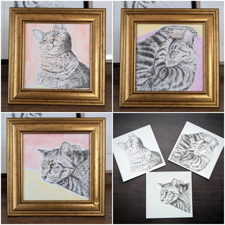 36d3e6ff f3c5 4c54 bd71 0604554d9309 1738843938079