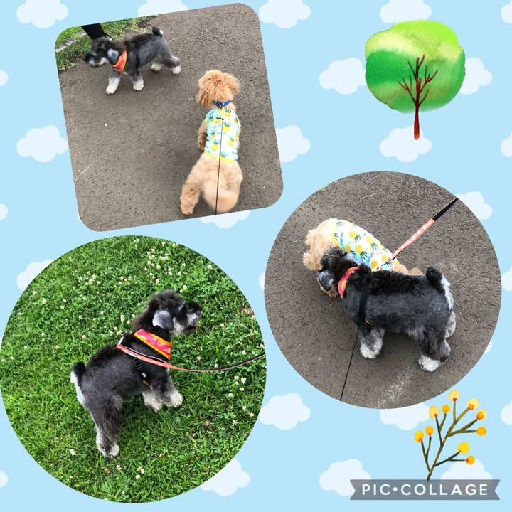 36d3ef19 36cb 4567 b8d7 9a25cc81b032 1625325432218