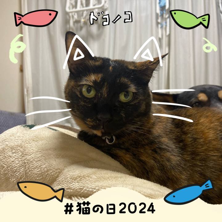 36d41d1d f256 43c3 a3e0 8a2db317031f 1708600165179