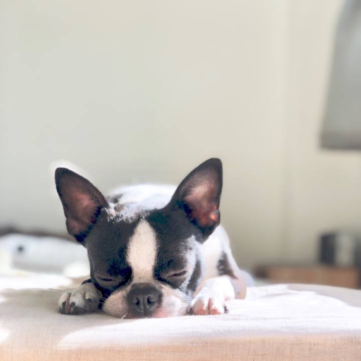 36d44bba 9746 4a87 aef5 31746c2b517c 1540173188266