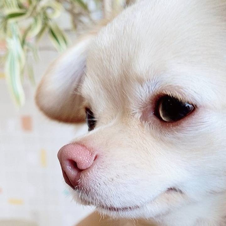 36d46a5a 2872 4167 972b 74759786b52f 1617405626939