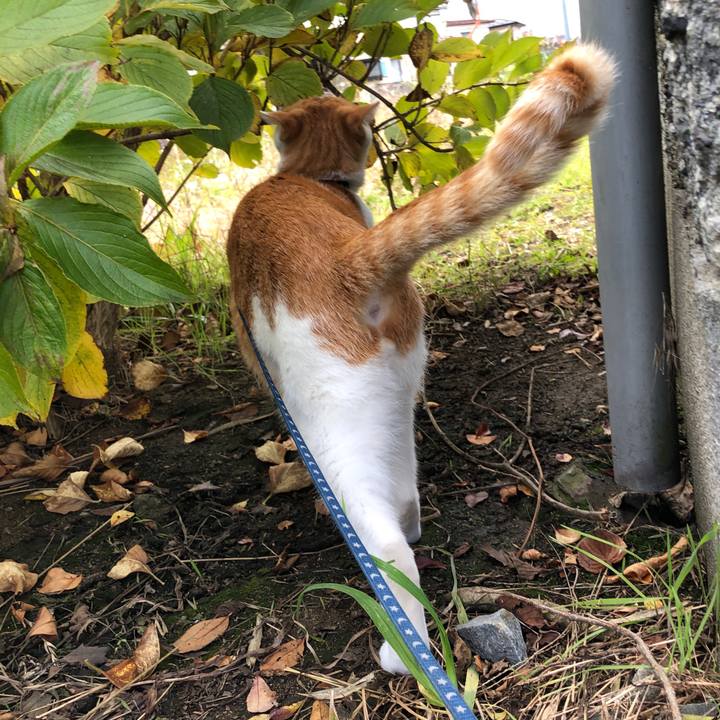 36d470c2 64eb 4c6e 9e6c 9c6a3dd62ac2 1542694819184