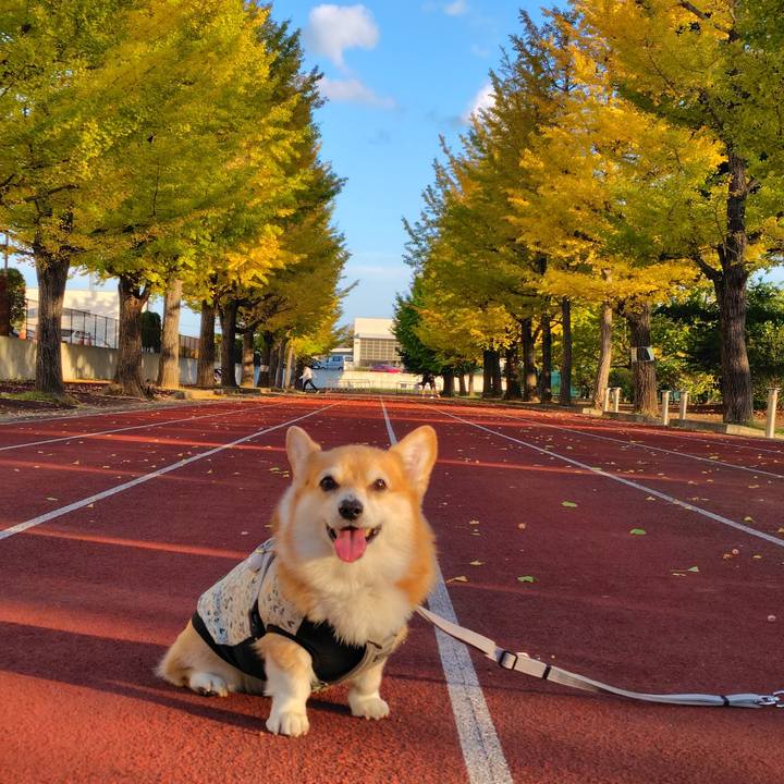 36d48947 04d6 41ae 91c5 c12ee89893ed 1761994568097