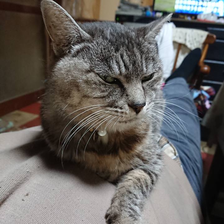 36d48e2a 6f4b 4362 9dce a69e3a9e82b9 1573380103540