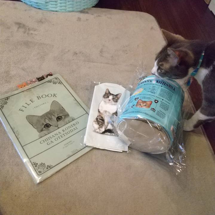 36d4fead 7534 49e4 8e2e ecbba3ceeb84 1618387818485