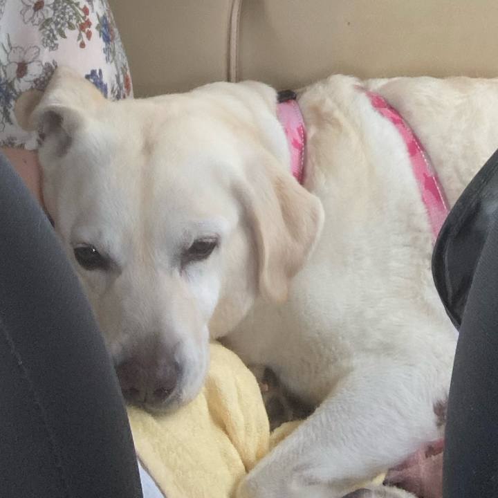 36d5075f 6a91 4f99 b830 506ba4b488b5 1725247098043