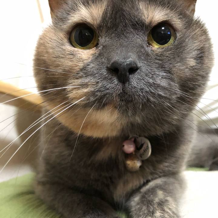 36d52914 ea7b 4687 82d3 40cba34dcfda 1548320144379