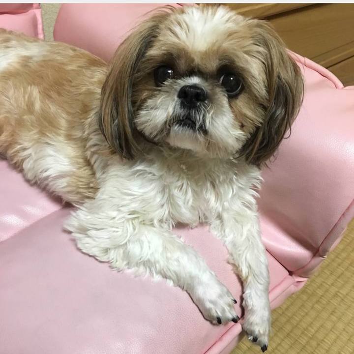 36d547b6 a986 4532 a315 54783c55efb9 1763281539279