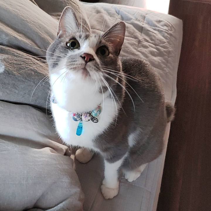 36d58919 b004 41fa b0b1 c65abbecb147 1666912725425