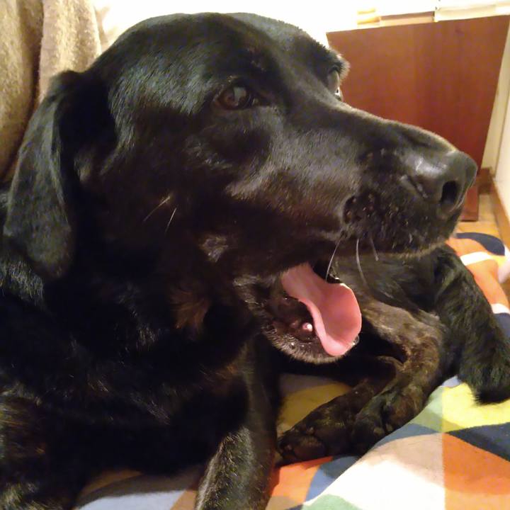 36d59c46 b5f7 46d3 932d cb770e2277d1 1609250719415