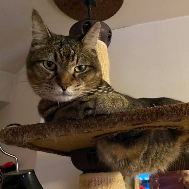 36d5a7d6 73fb 4d2e a54d 7de46da5b618 1606019163149