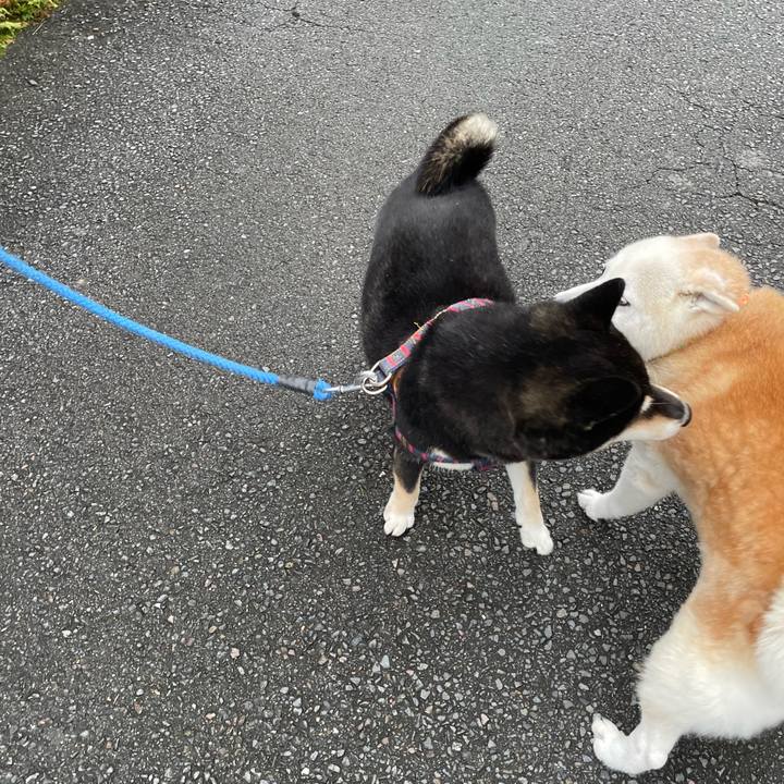 36d5ae75 e911 4291 94ee 5b2749510d84 1662505815013