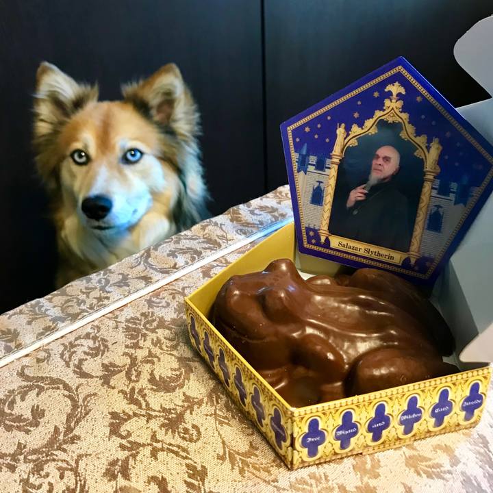 36d5e9a7 9598 4d2b 8cfe 079aa354701f 1526961999597