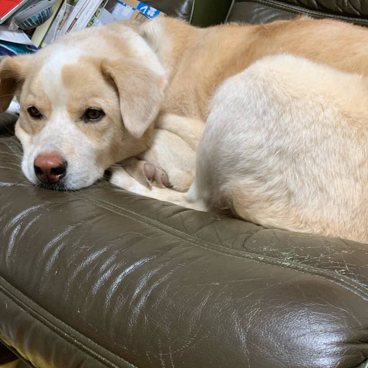 36d6073f f2b4 4010 92b1 e71f1ccc401a 1563803178445