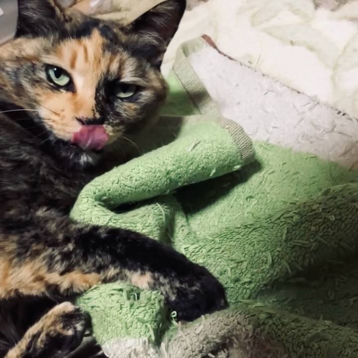 36d62231 933b 4b84 bf8a 7a0e9f6828c0 1737452024747