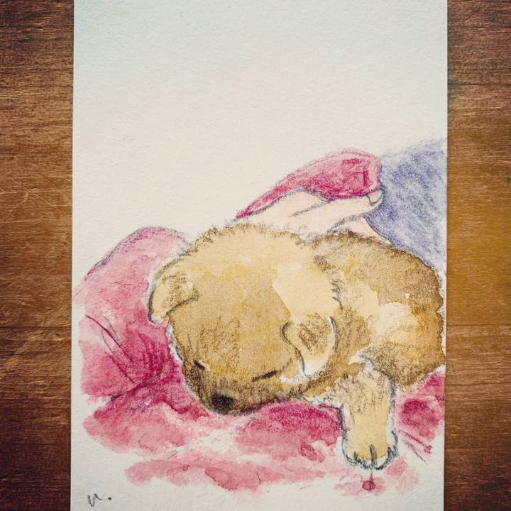 36d63608 e779 4bbd 8b2d ffee1787b6fb 1607994075006