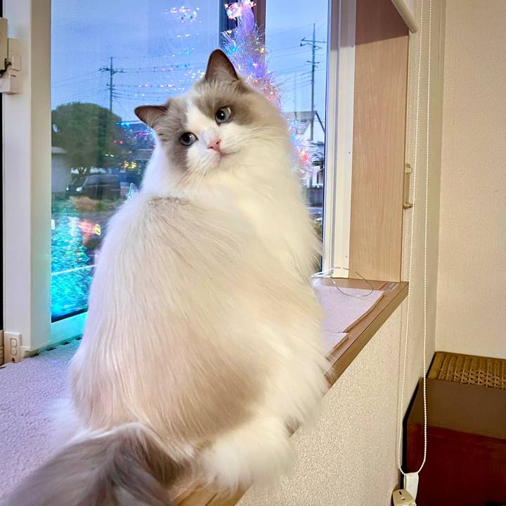 36d6529f ccc9 4300 9818 0772a483d214 1671264160960