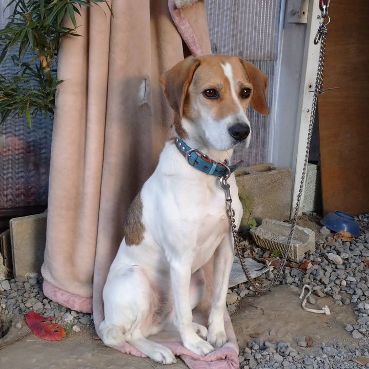 36d65d4f a997 42f2 87c1 5ebf53bfed79 1606380481452