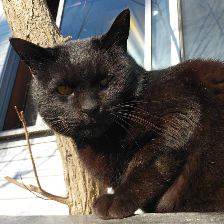 36d68a2e 02d2 4994 98c0 bd8f9d693391 1581378973003