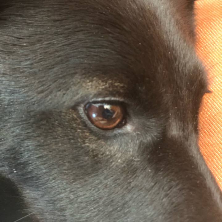 36d69cdd 7f50 47ae 92c4 cca6f0b33a48 1580517855272