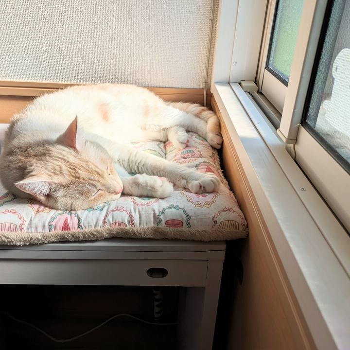 36d69db3 bbbb 4c04 9a34 24b643957921 1691105109007