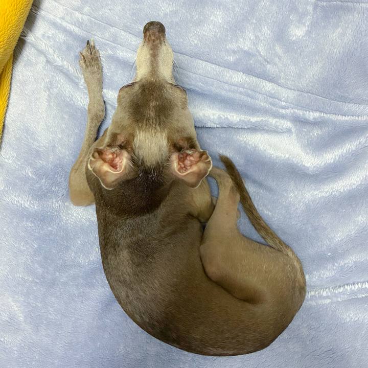 36d6a278 b154 4baf 9cf0 28f4d996e14f 1768127408324