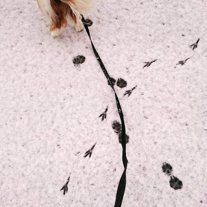 36d6c02f 8e56 4d8a b752 dc2c4d221db9 1553380645116