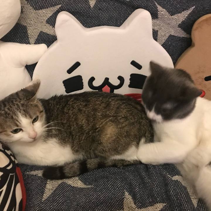 36d75ced 7f1e 4960 8d47 7c28421c8746 1723623451232