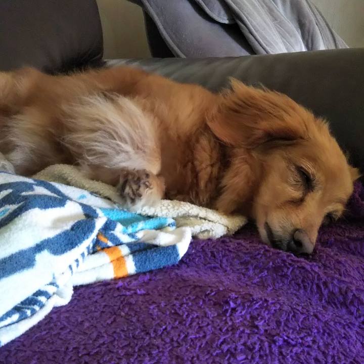 36d7667e 3add 4494 8928 e5530ba3b662 1597030548303