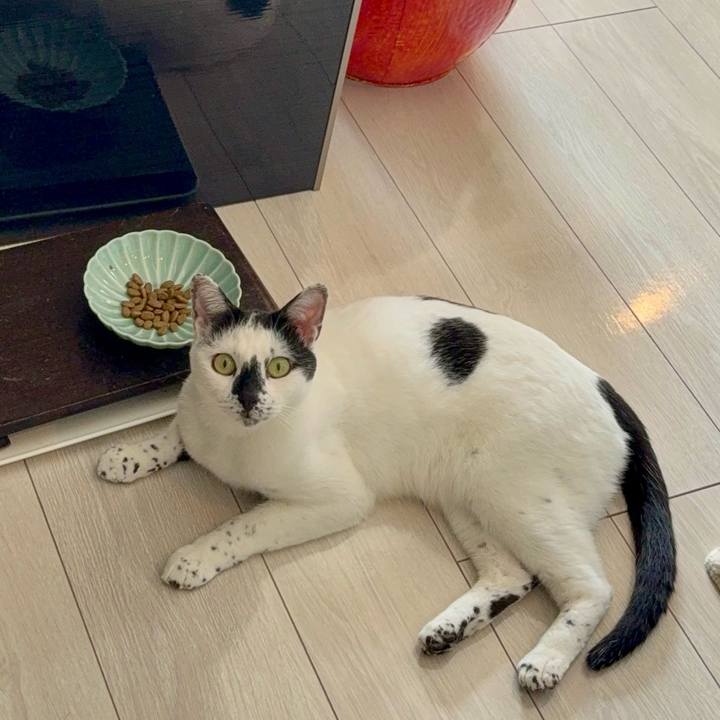 36d78007 7b5e 4df6 b07e 747047dd70c0 1771499503702