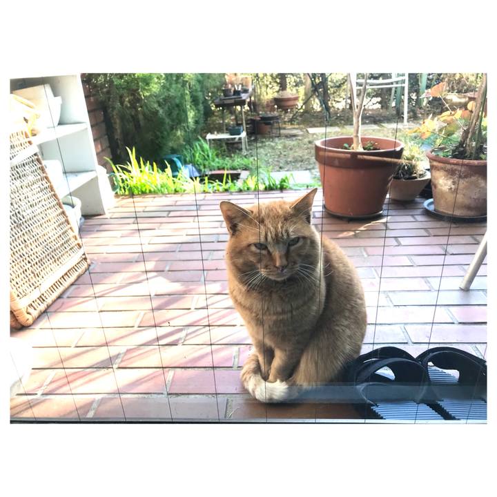 36d79a97 0d4f 4133 bf9c 7e5639b5270b 1641014575625