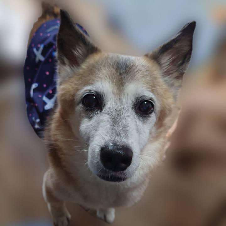 36d79c82 7048 4755 97fc 44da81e5176e 1725078385806