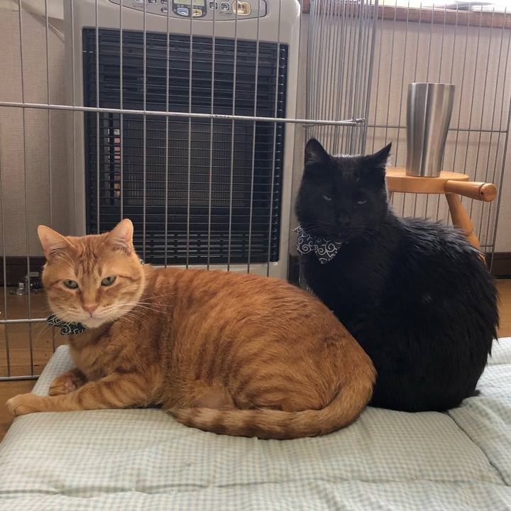 36d7d404 fba3 4936 82e7 249d9ed24f35 1580006414775