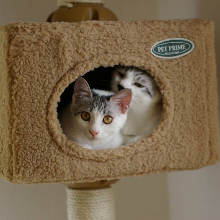 36d7d540 c61a 411b 9b8d d1469d935d1e 1525262358923