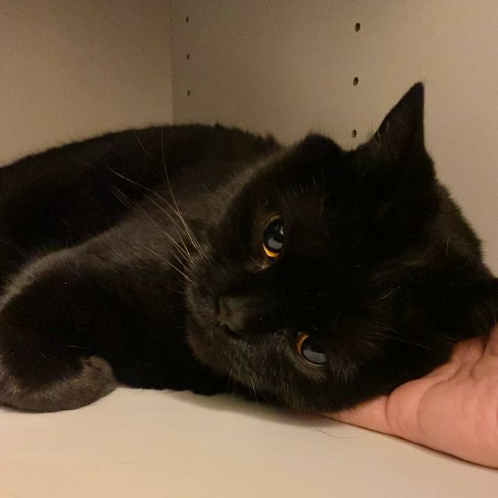 36d7f082 d004 4eb2 8ec4 657a65c0594f 1671508275668