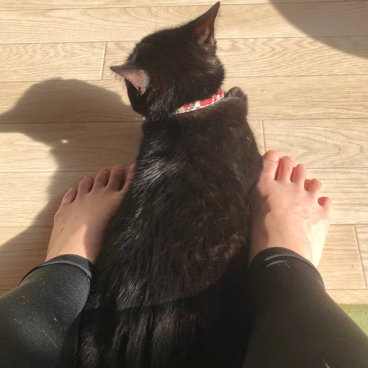 36d8234d 60d1 49e5 9f3a 7d41d9901f18 1586565291596